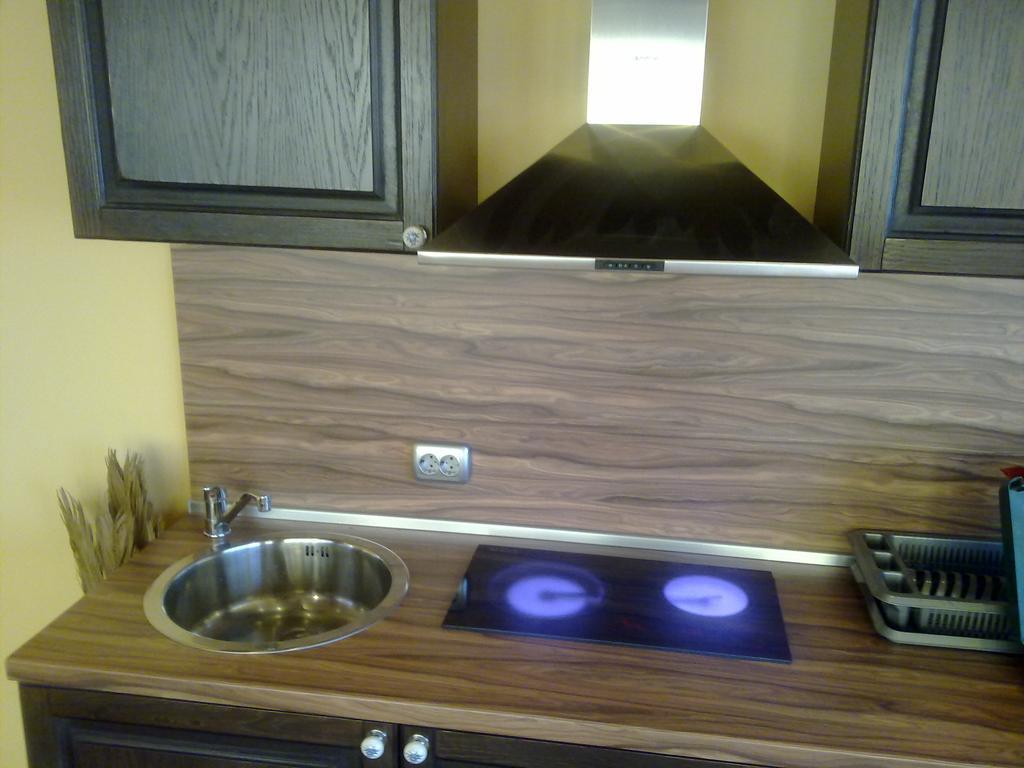 Mountain Dreams Apartment Saparewa Banja Zewnętrze zdjęcie