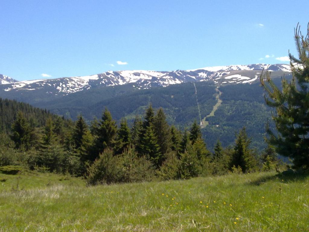 Mountain Dreams Apartment Saparewa Banja Zewnętrze zdjęcie